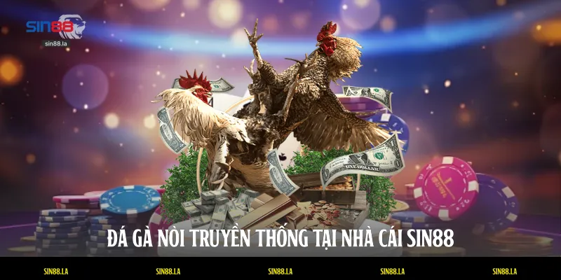 Đá gà nòi truyền thống tại nhà cái SIN88